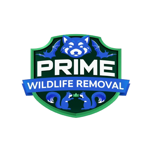 Wildlife Removal Coopersville